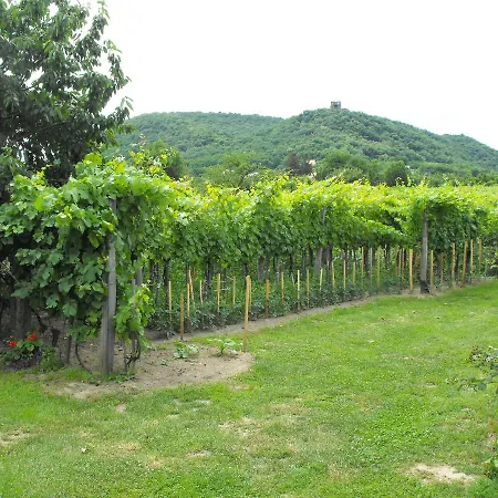 Rokavar Vendeghaz Doba